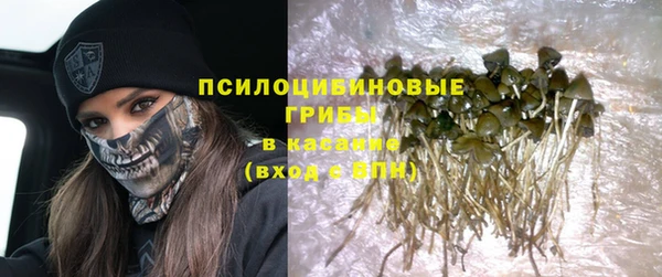 мдпв Балахна