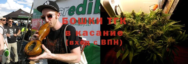 шишки Беломорск