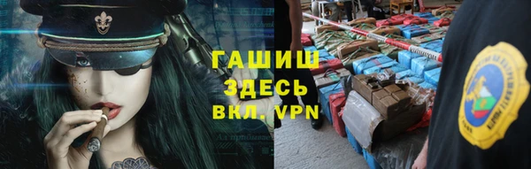 шишки Беломорск