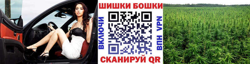 Бошки Шишки семена  купить наркоту  Иркутск 